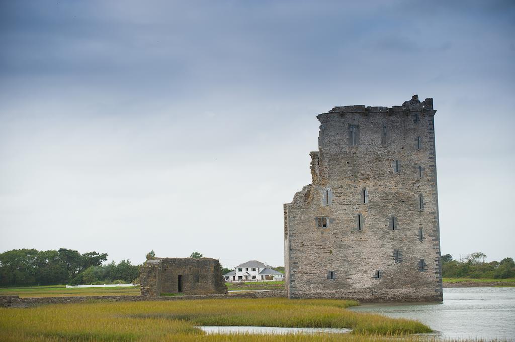 مبيت وإفطار Ballylongford Castle View House المظهر الخارجي الصورة